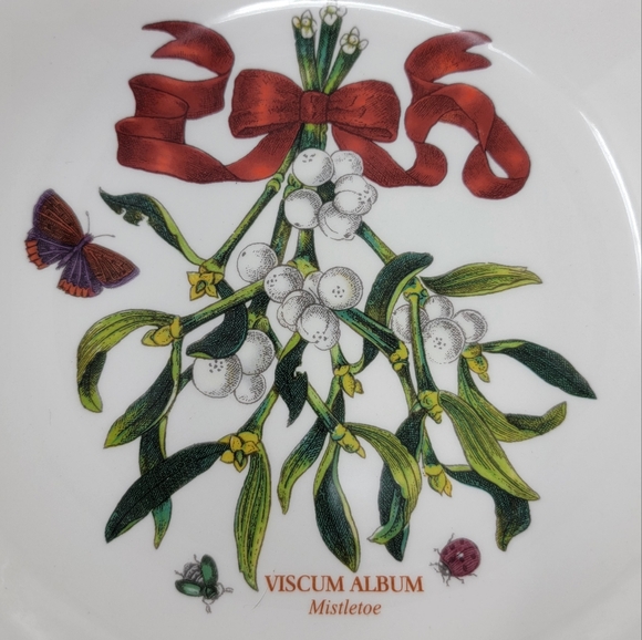 Botanic Garden Mistletoe by Portmeirion 8 5/8" Pasta Bowlin excellent condition - Picture 4 of 4